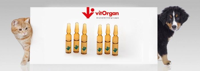 vitOrgan Veterinär