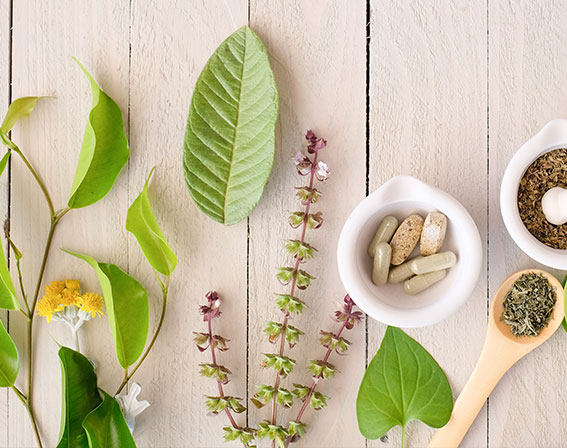 Nahrungsergänzung/Vitalität