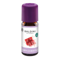 BALDINI Happy Christmas Bio ätherisches Öl
