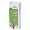 GEMMOMAZERAT Salix caprea Spray