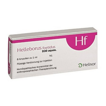 HELLEBORUS FOETIDUS aquos. D 30 Ampullen