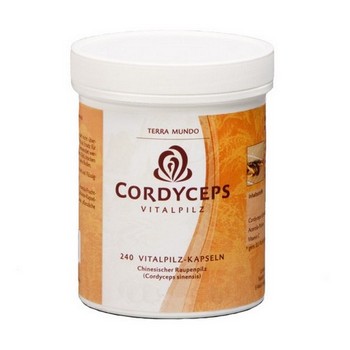 CORDYCEPS VITALPILZ Terra Mundo Kapseln