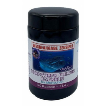 Robert Franz Cordyceps Kapseln für Menschen